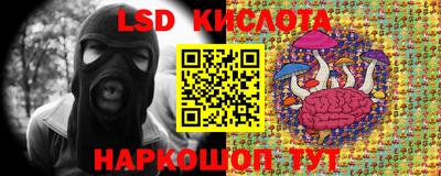 Альфа ПВП Моздок