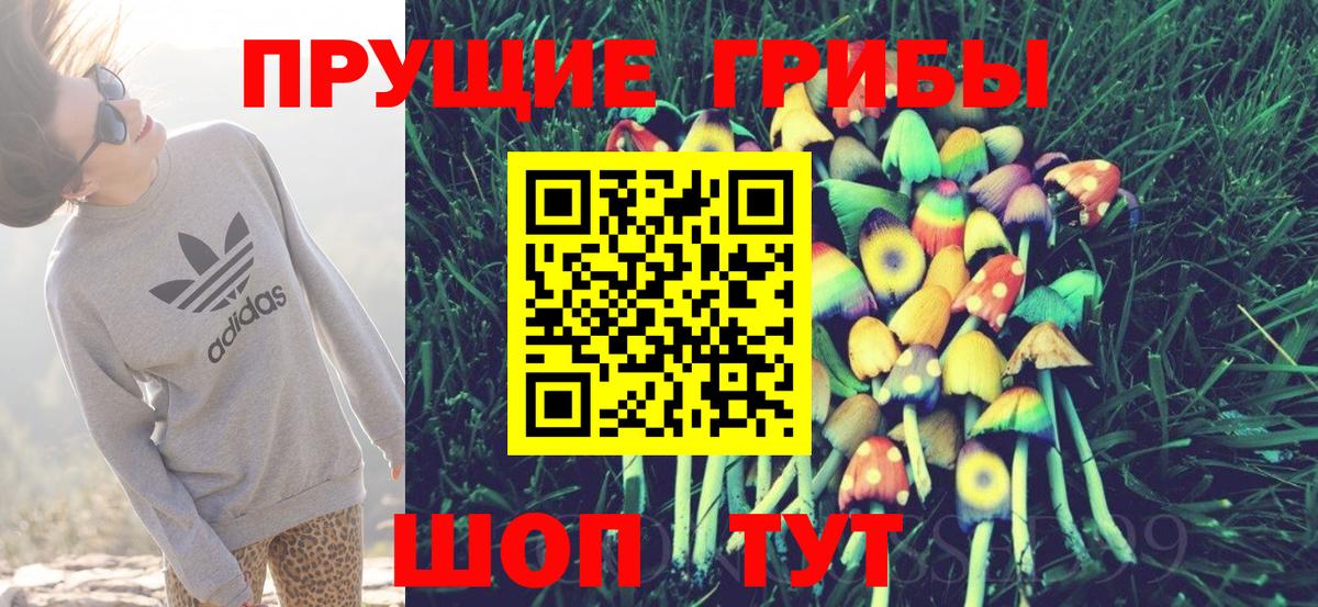Псилоцибиновые грибы GOLDEN TEACHER Чита